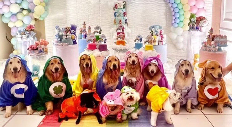 erros comuns ao decorar festa de cachorro