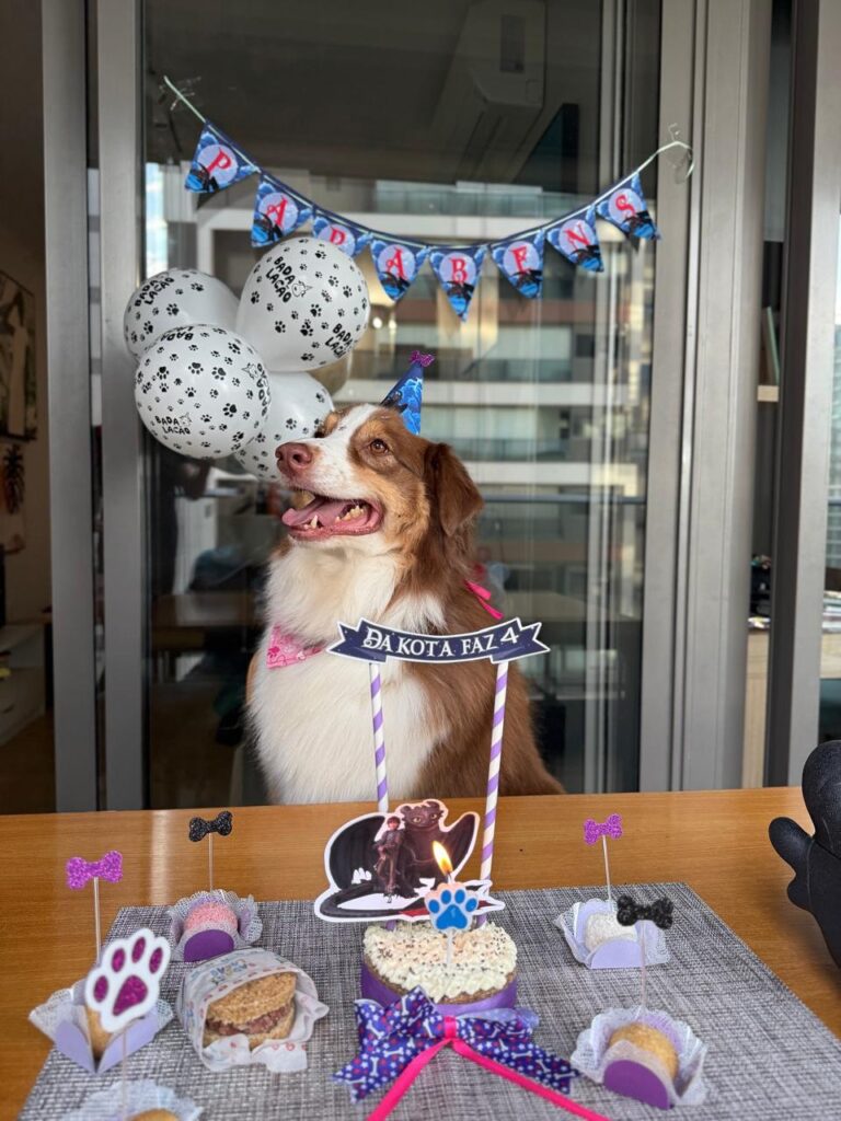 decoração festa cachorro simples e barata