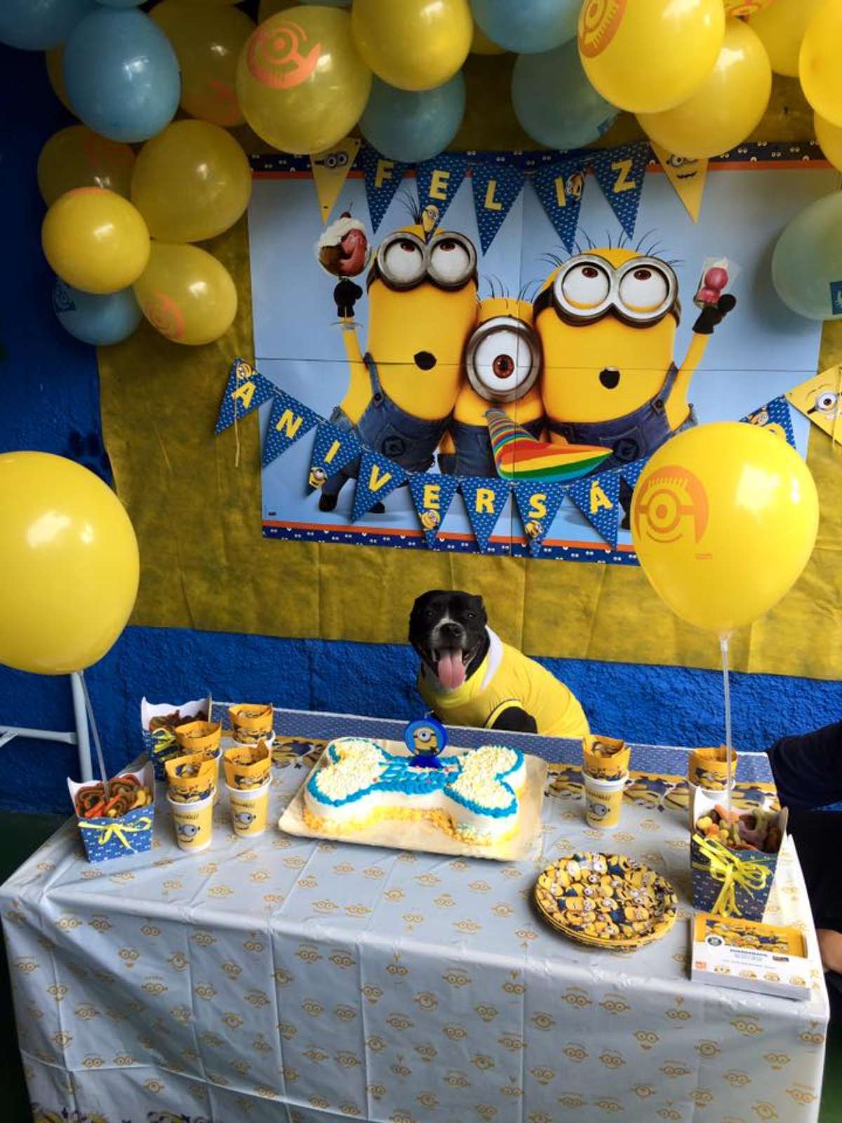ideias criativas decoração festa cachorro