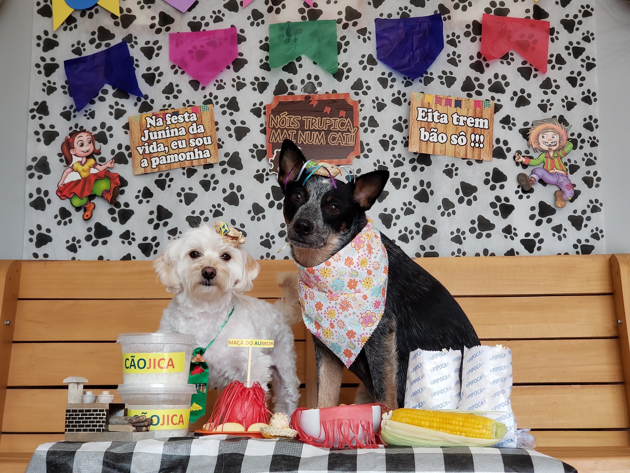 kit festa cachorro vs decoração personalizada