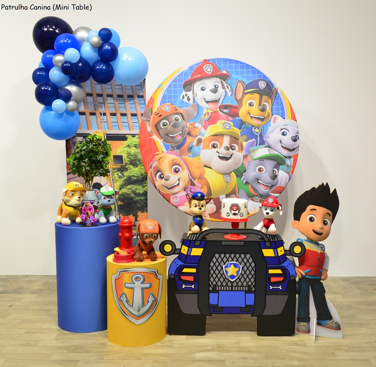 erros comuns ao decorar festa patrulha canina