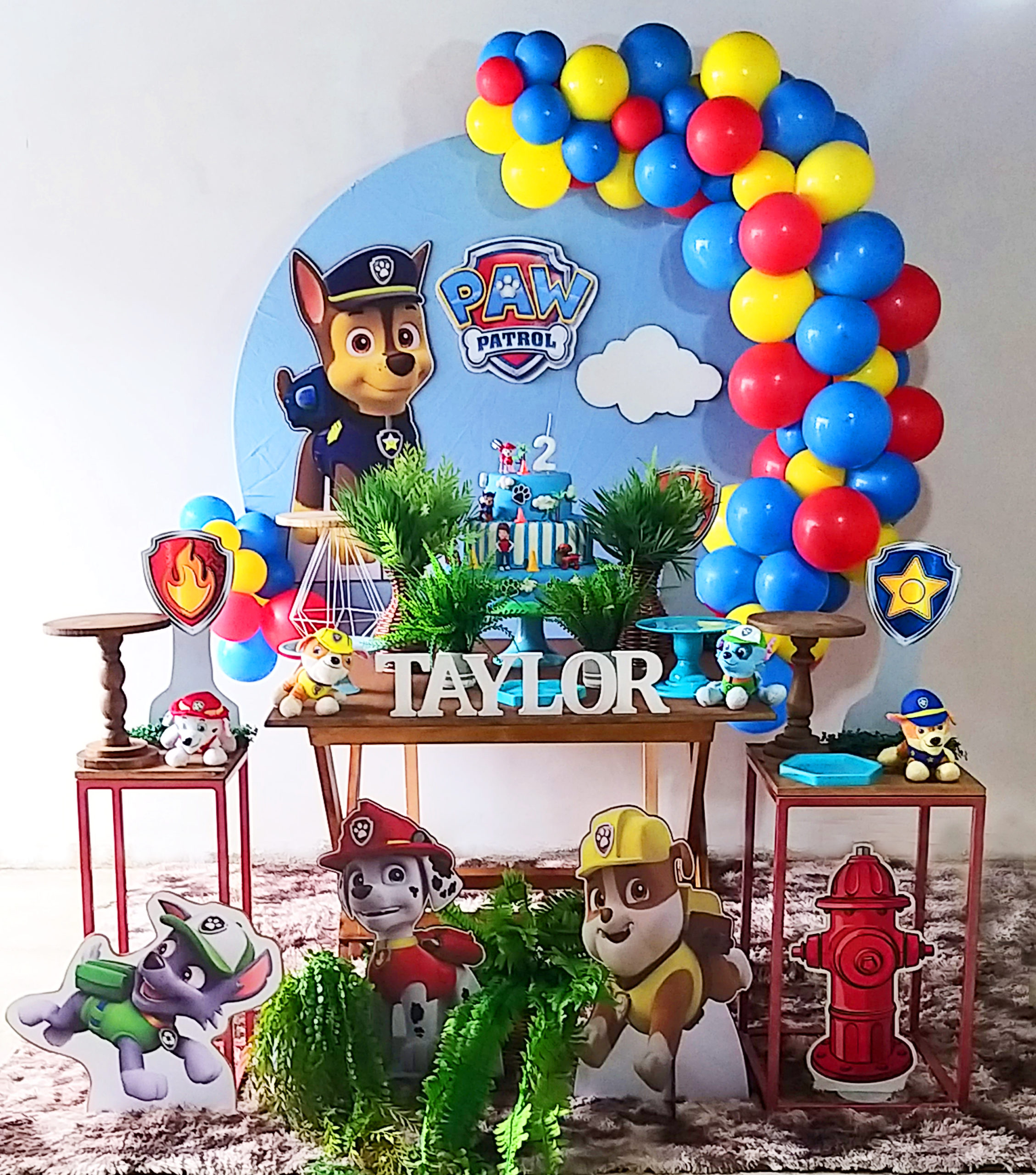 decoração festa infantil patrulha canina