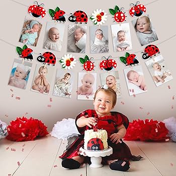 decoração joaninha simples