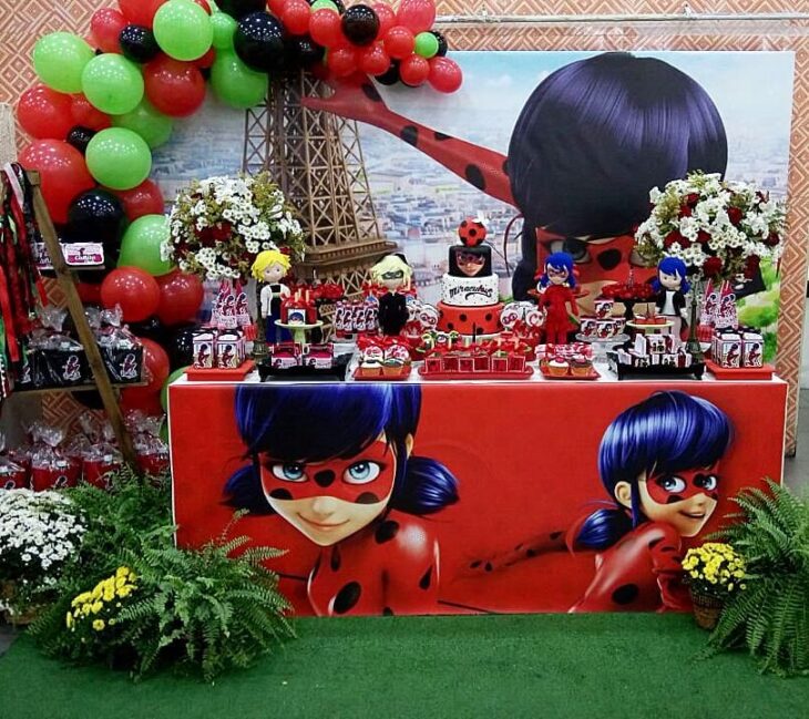 decoração ladybug e cat noir