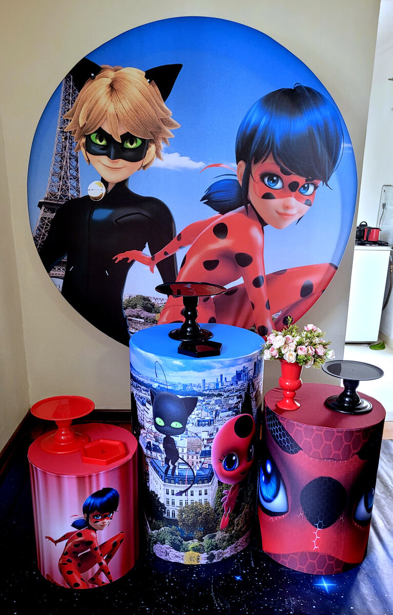 decoração ladybug e cat noir