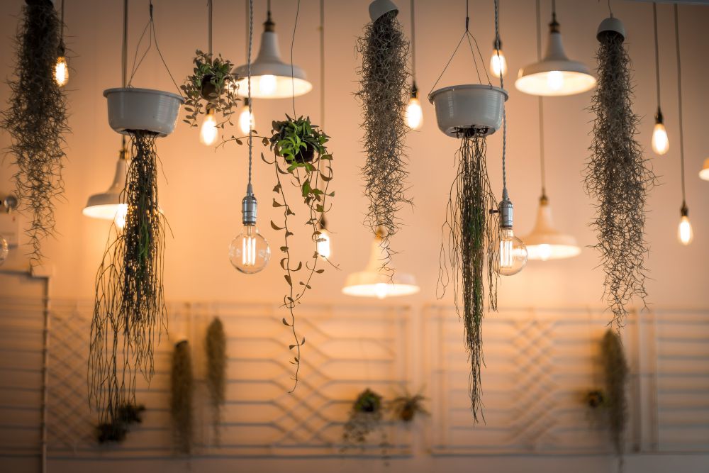 decoração luminária