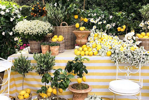 flores para decoração de casamento