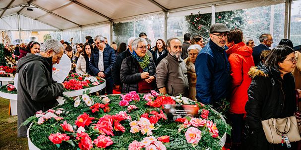 como economizar na decoração de festa de 15 anos