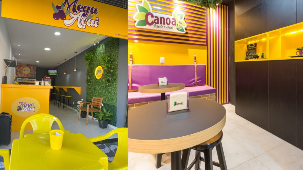 plantas decoração açaí