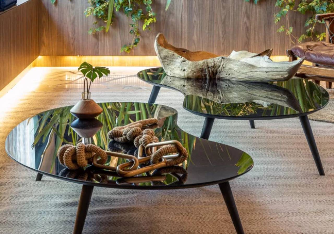 plantas para mesa de centro