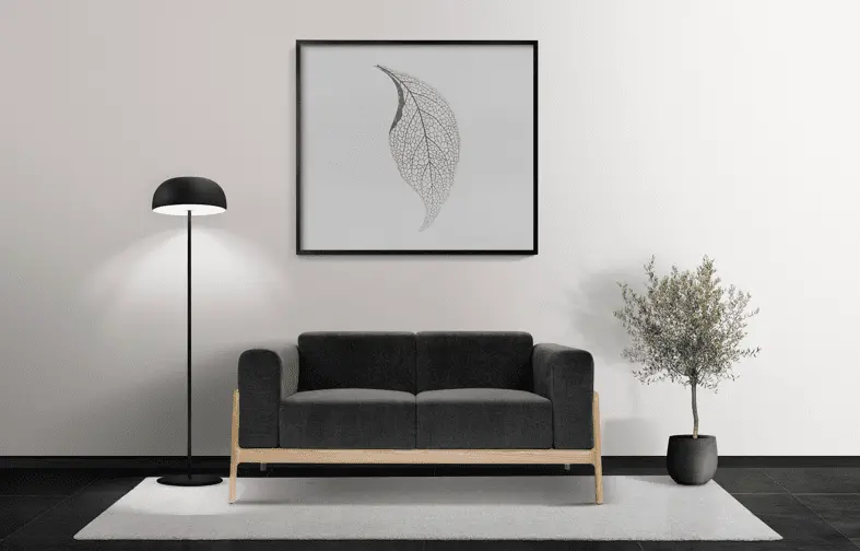 Plantas que transformam o ambiente da sua sala de estar