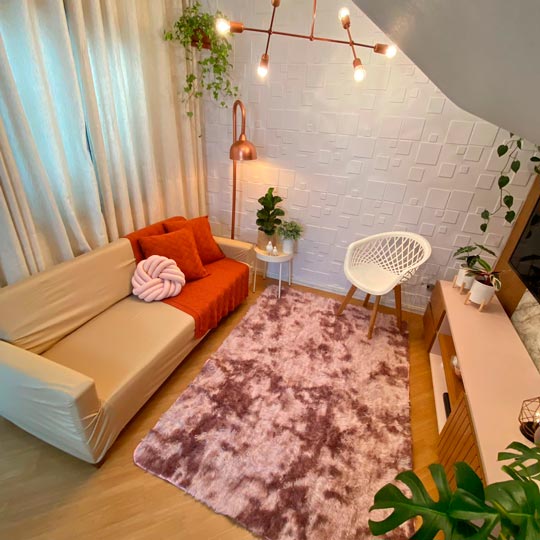 Plantas que transformam o ambiente da sua sala de estar