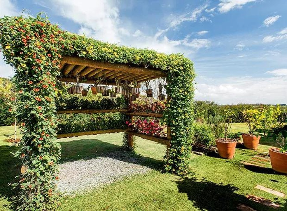 como fazer um pergolado rústico com bambu