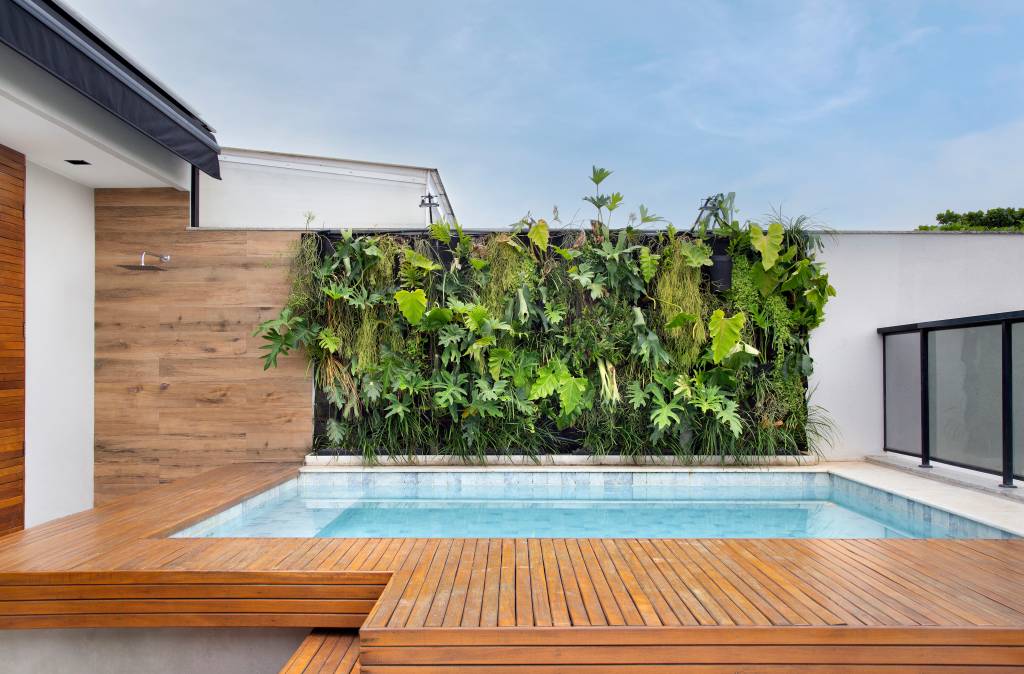 jardim tropical com piscina