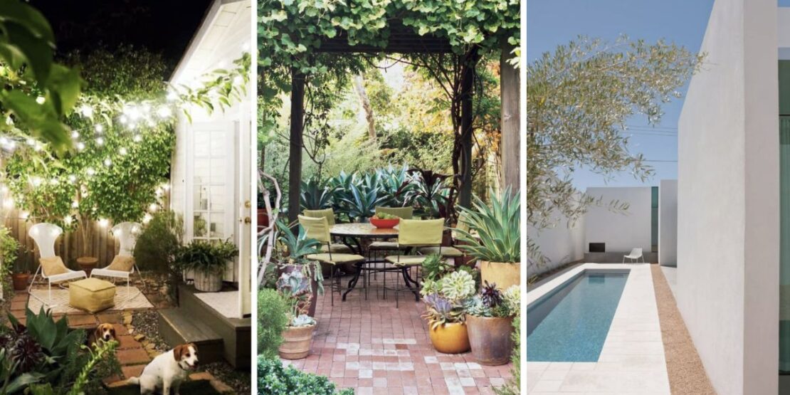 quintal simples vs quintal elaborado qual escolher