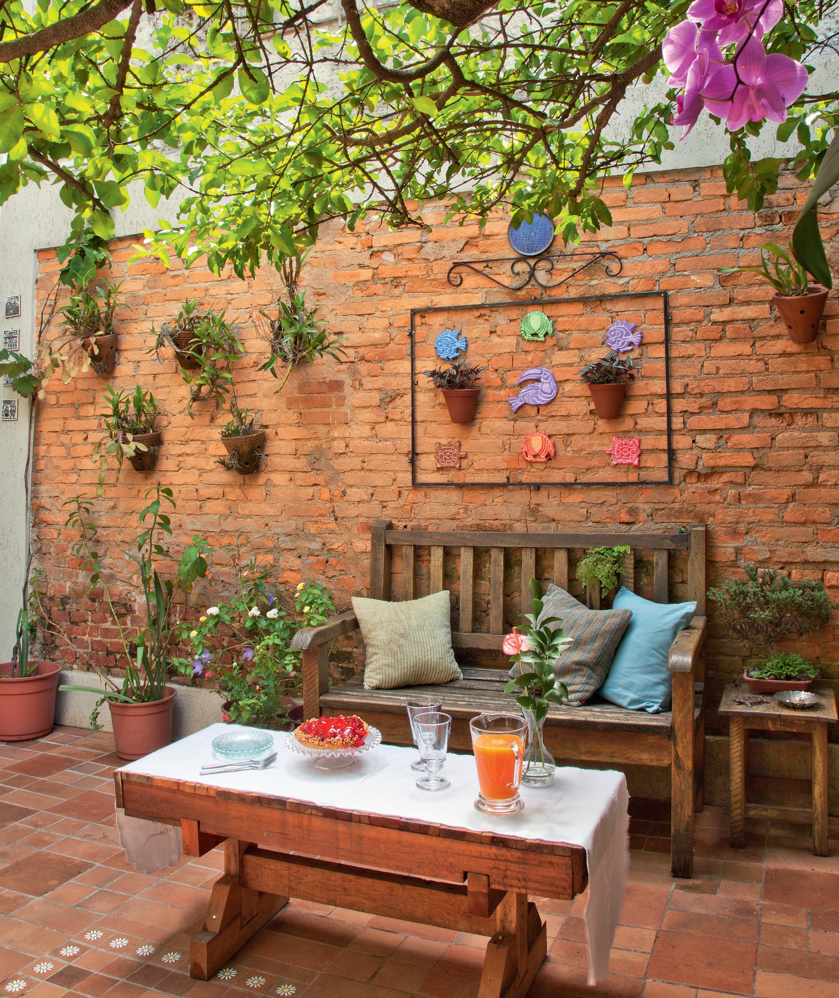 quintal simples vs quintal elaborado qual escolher