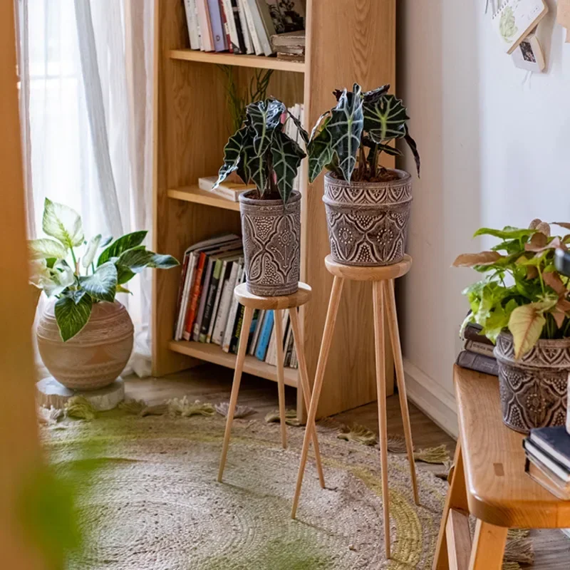 plantas baratas para rack sala pequena onde comprar