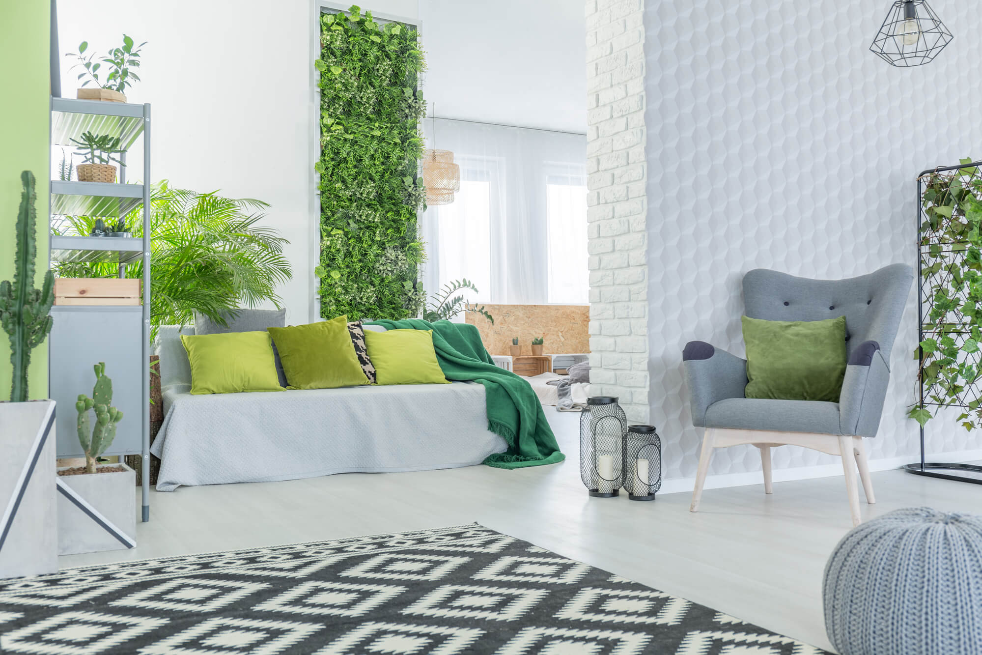 5 erros comuns decorar rack sala pequena plantas evitar