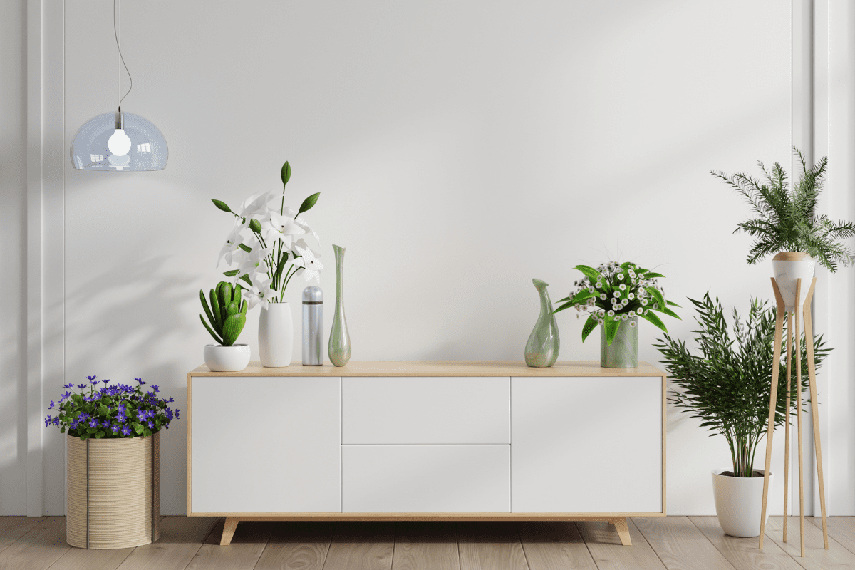 plantas baratas para rack sala pequena onde comprar