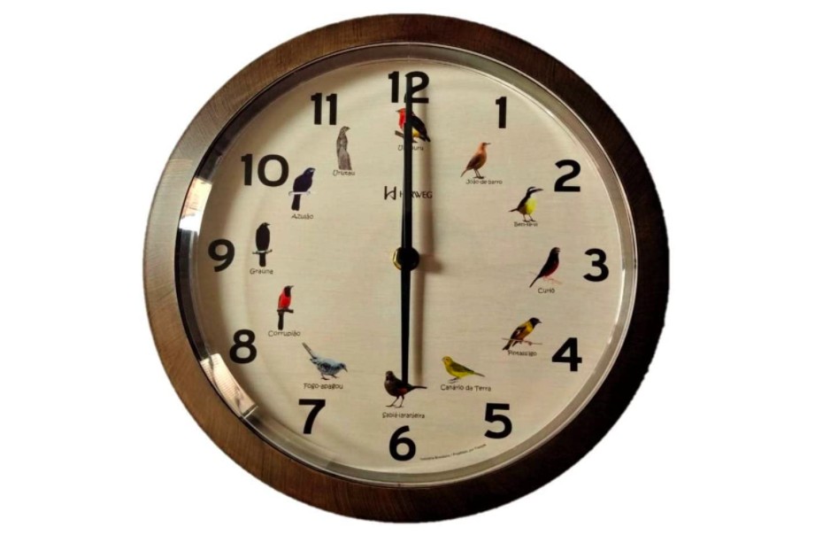 decoração relogio de parede