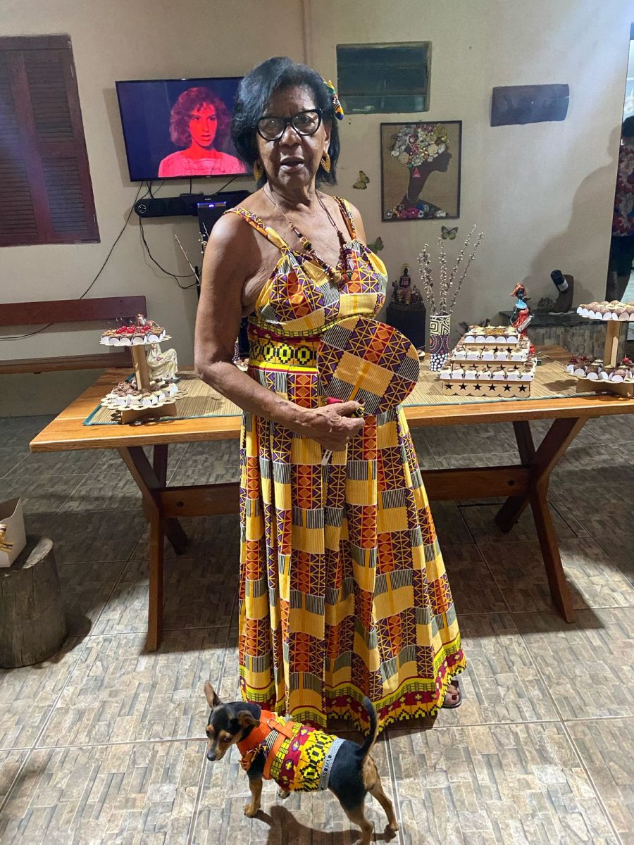 decoração de festa tema África