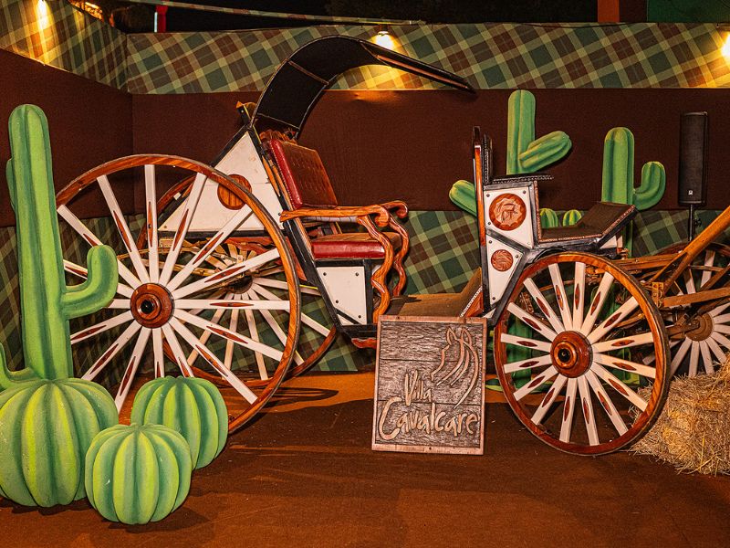 erros comuns na decoração agro