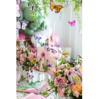 locação decoração jardim borboletas