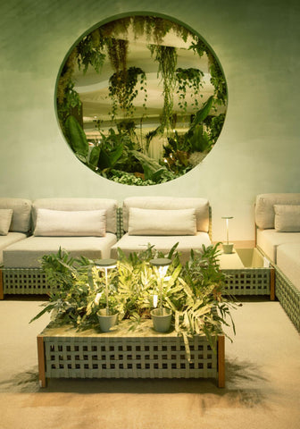 erros comuns decoração verde dourado