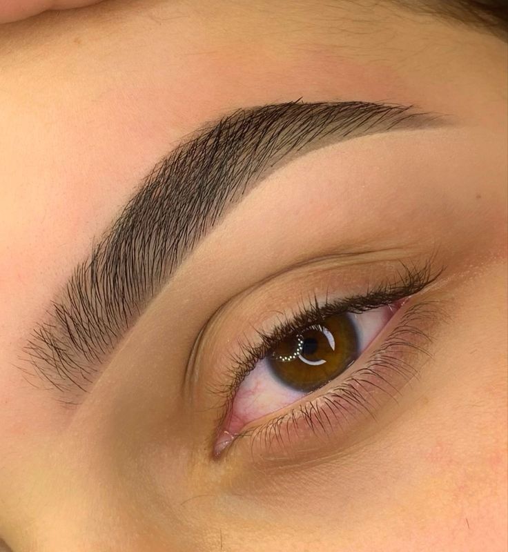 Guia Completo: Como Escolher a Melhor Técnica de Design de Sobrancelhas para Você