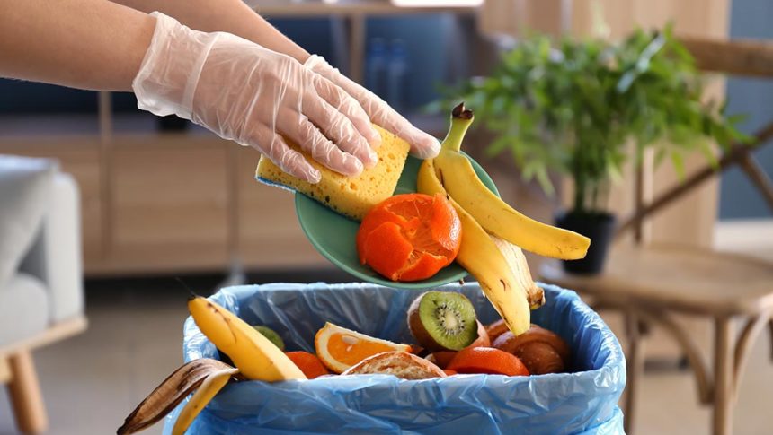 10 Receitas Criativas para Aproveitar Cascas e Talos de Alimentos