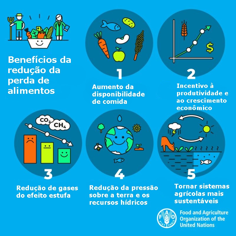 Guia Completo de Congelamento de Alimentos: Como Preservar e Evitar Desperdício