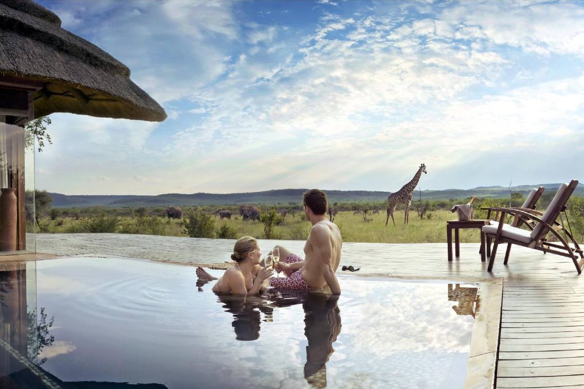 Onde ver pinguins e baleias na África do Sul: Boulders Beach e Hermanus