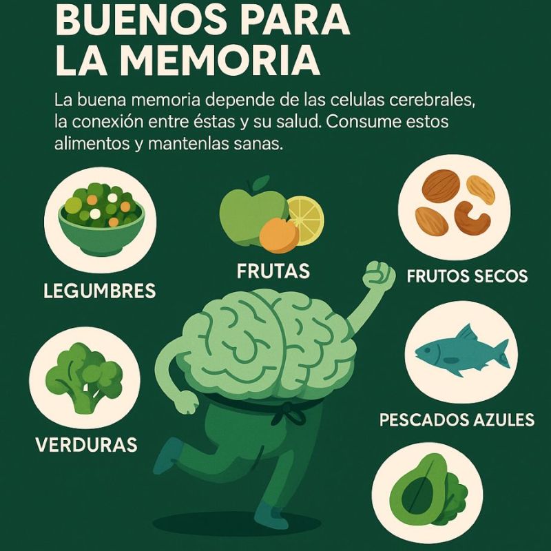 Os Benefícios do Ômega-3 e Vitaminas B na Saúde Cerebral