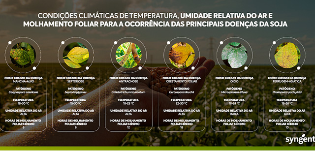 Guia Completo: Identificação dos Sintomas das Principais Doenças da Soja