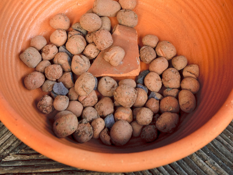 Mantas de Drenagem: Qual a Melhor Opção para o Seu Jardim?