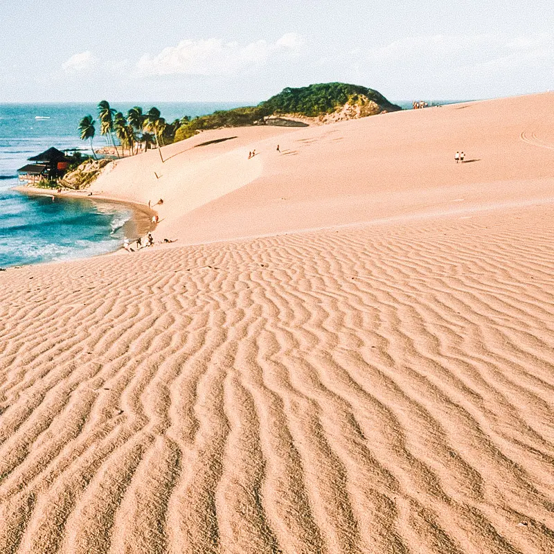 Parque das Dunas: Um Refúgio Verde em Natal