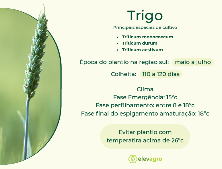 Guia Completo do Zoneamento Agrícola para Trigo no Brasil