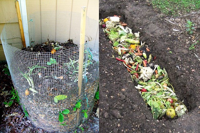 Transformando resíduos de cozinha em adubo de ouro