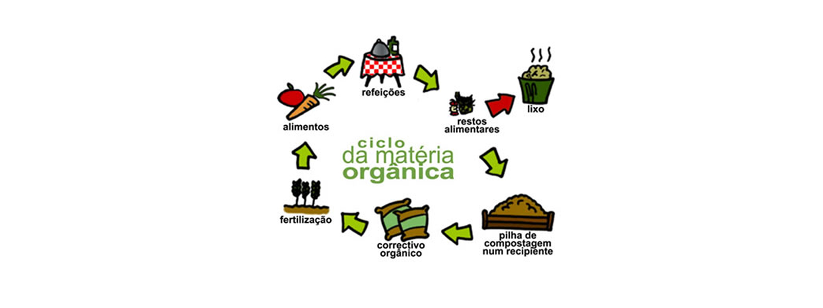 Guia completo de vermicompostagem