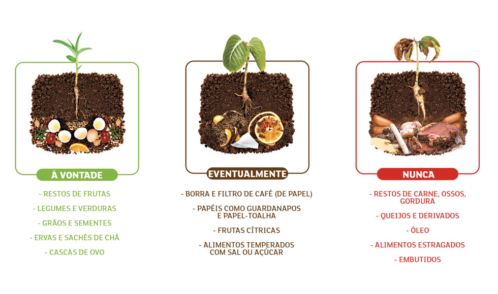 Alimentos que podem e não podem ir para a composteira