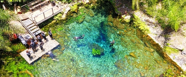 observação de vida selvagem Brasil