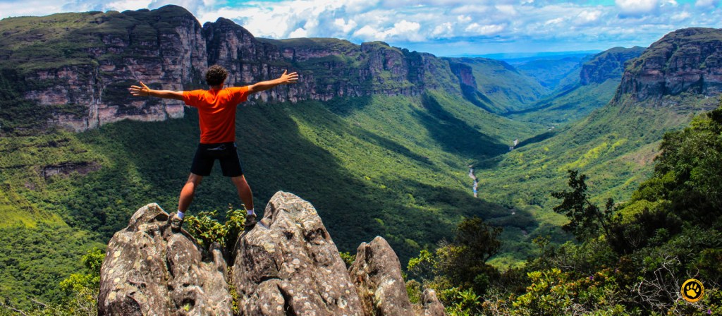 observação de vida selvagem Brasil