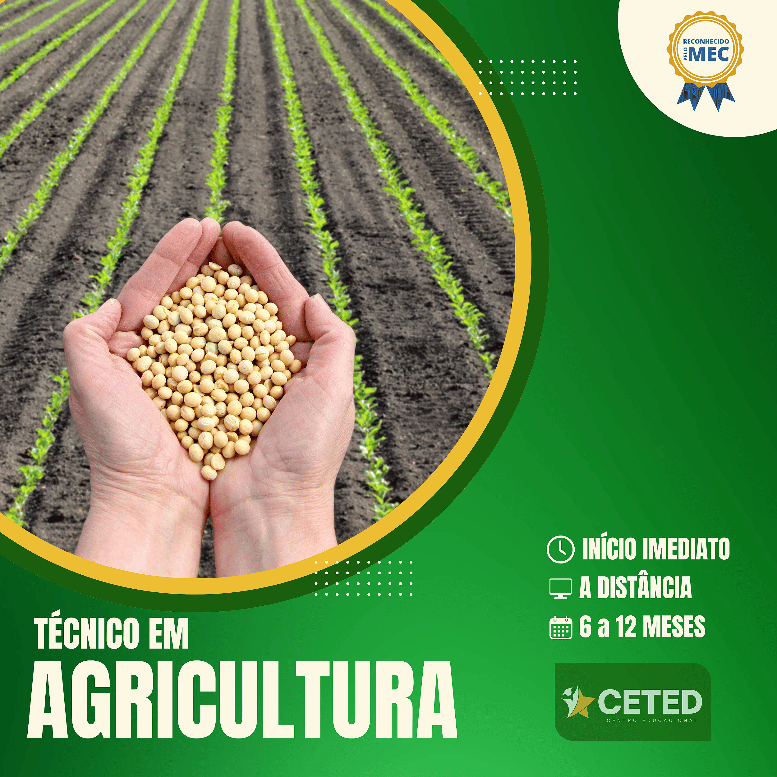 Como escolher o melhor curso EAD de Agronegócio?