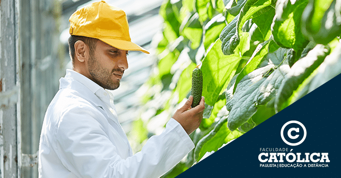 Tecnologia e EAD: O futuro da educação no campo