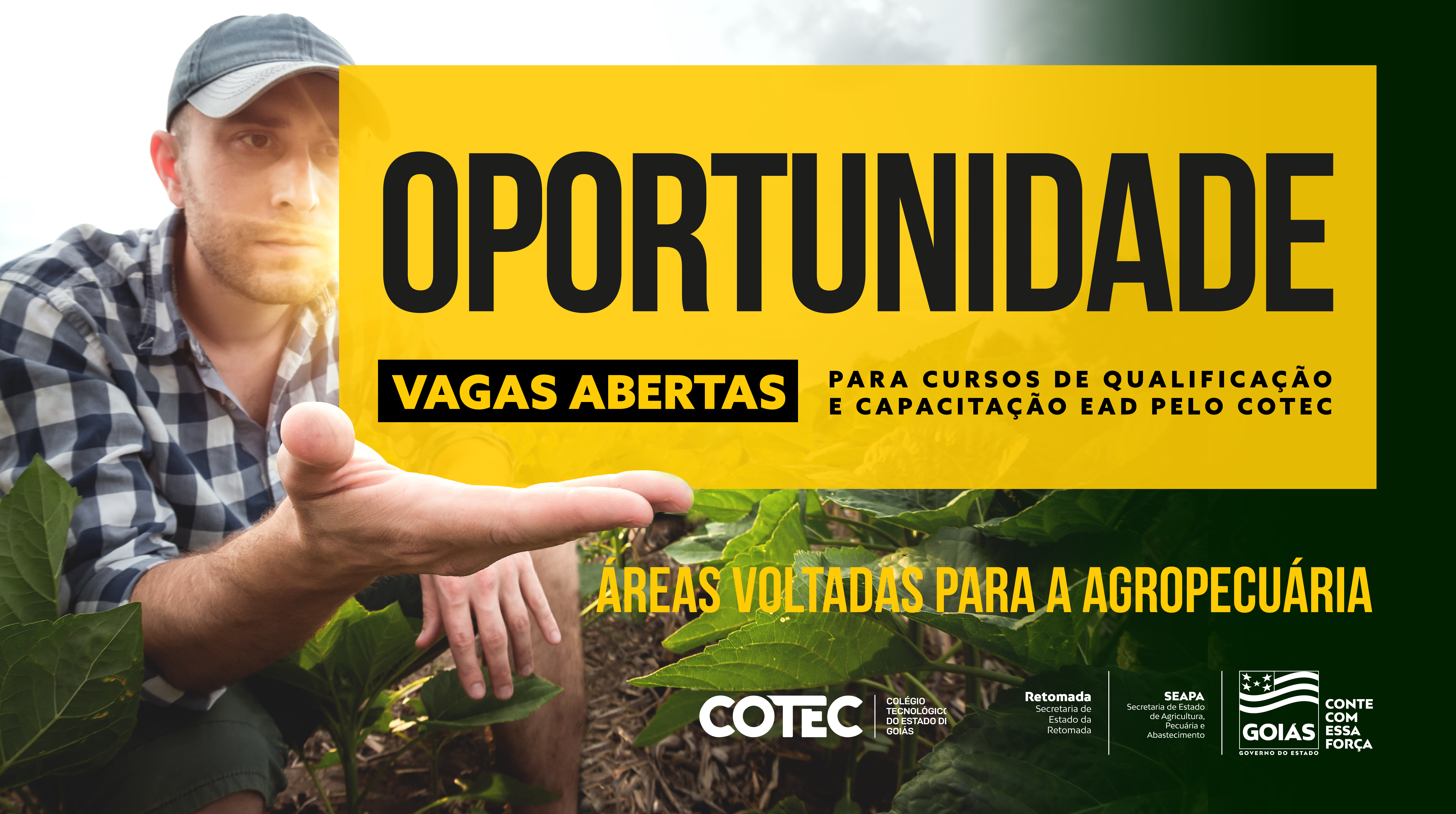 Guia completo de graduações EAD em Gestão do Agronegócio