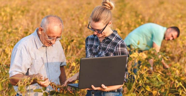 Pós-graduação em Agronegócio: Opções e mercado de trabalho