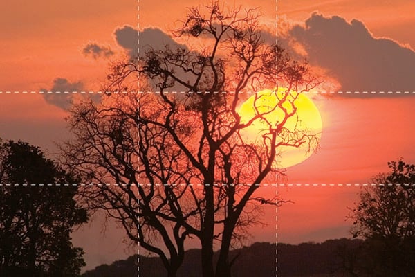 Efeitos de IA para Fotos: O Futuro da Edição de Imagem