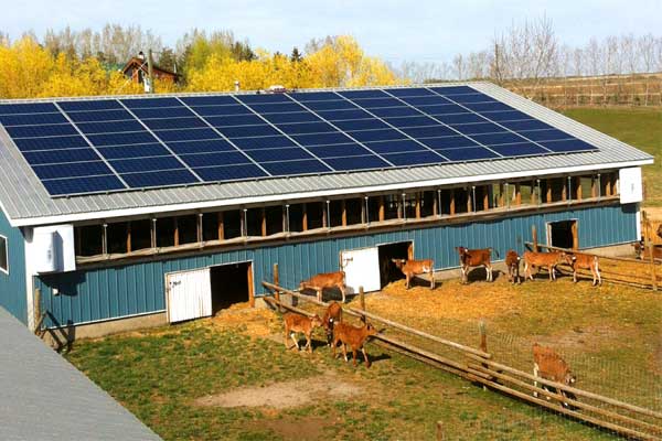 Como calcular o retorno do investimento em energia solar rural