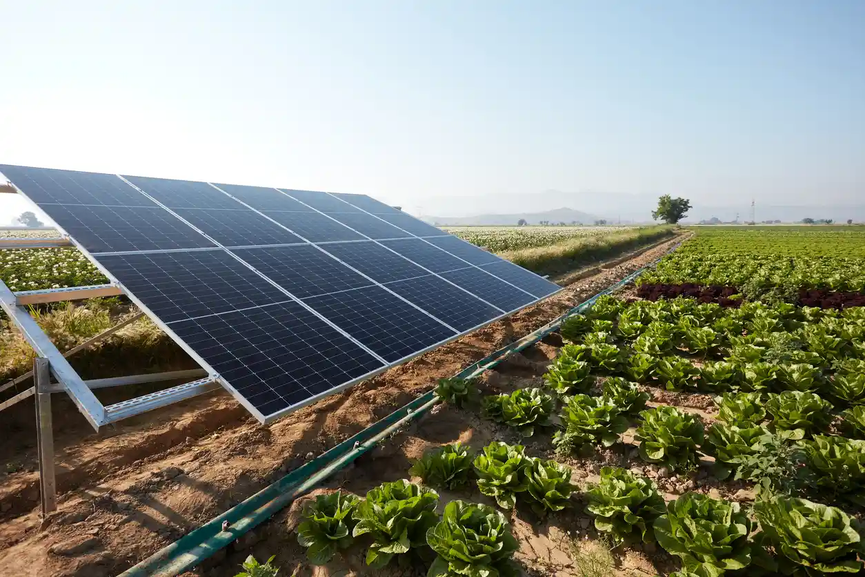 Guia completo sobre financiamento de energia solar para o agro