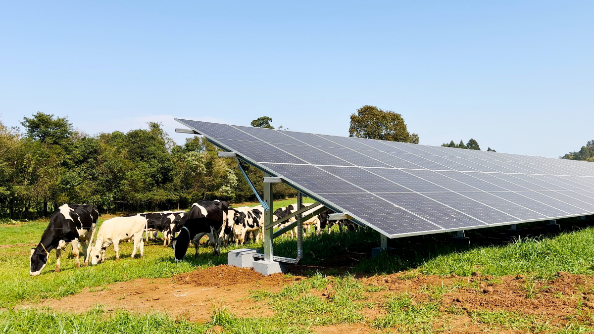 Aplicações práticas da energia solar em diferentes atividades rurais
